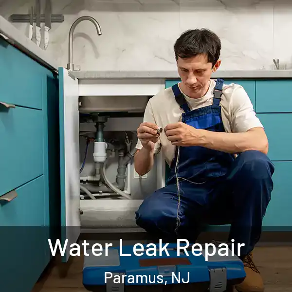  Water Leak Repair Paramus, NJ